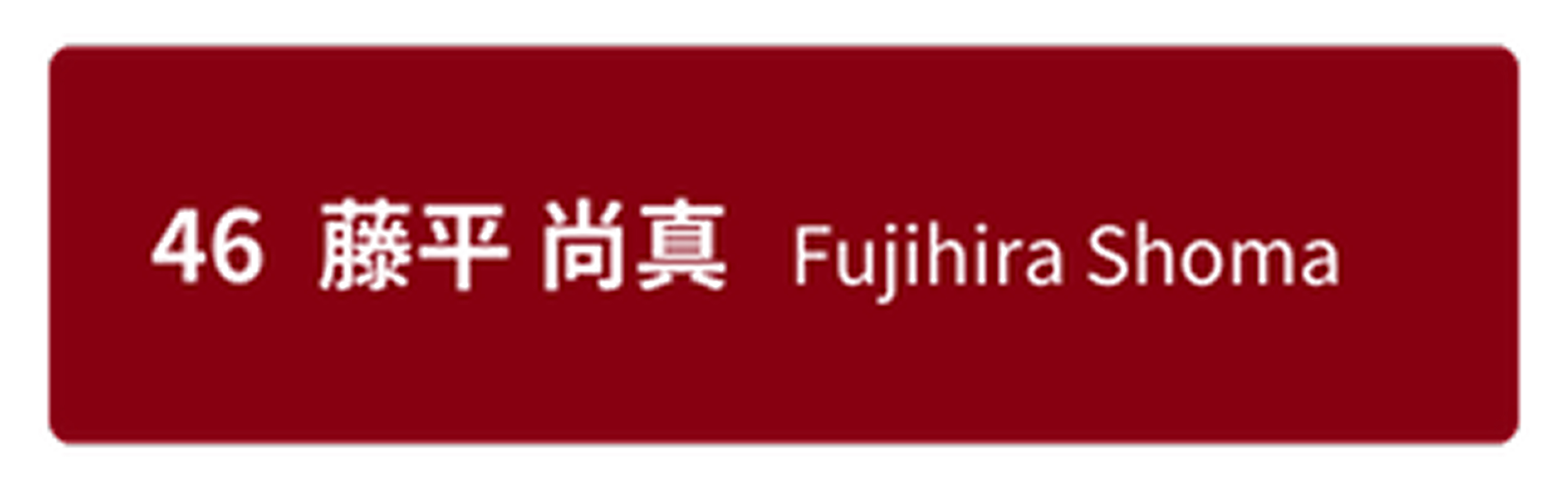 フィールドスポーツ　野球選手名7