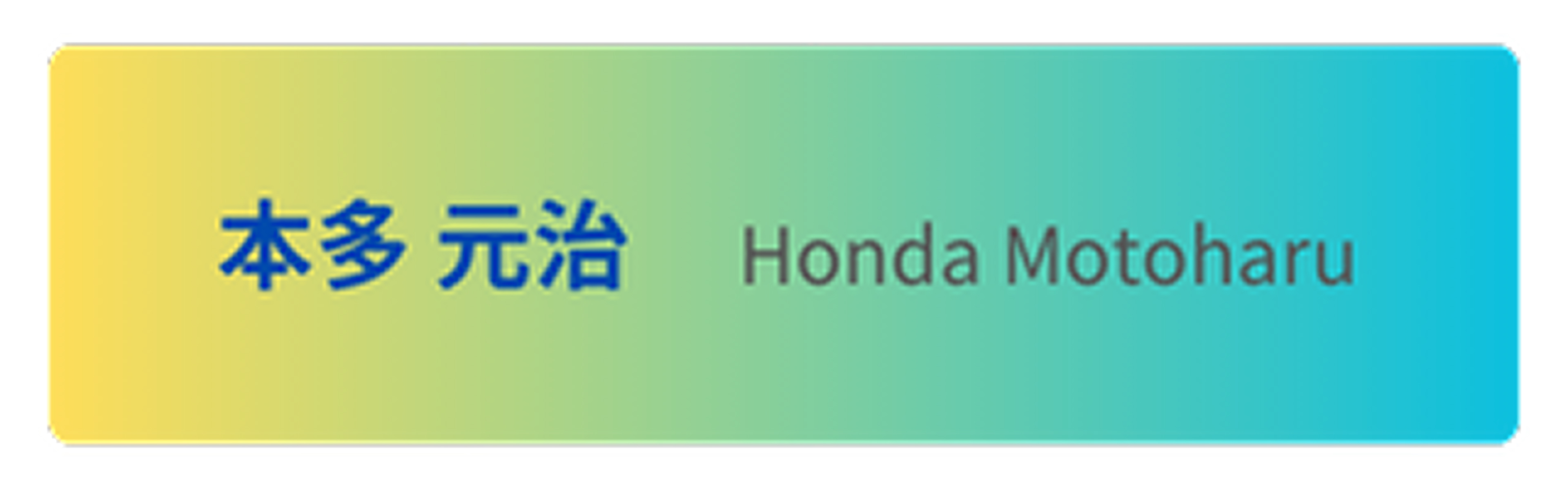 モータースポーツ選手名2