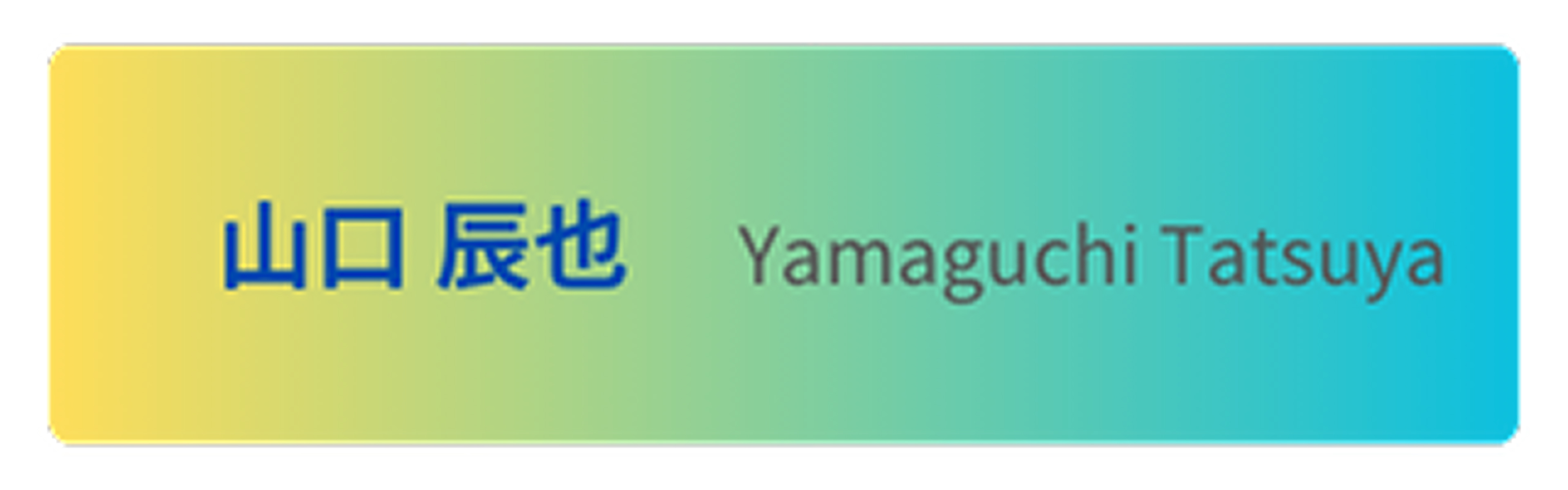 モータースポーツ選手名4
